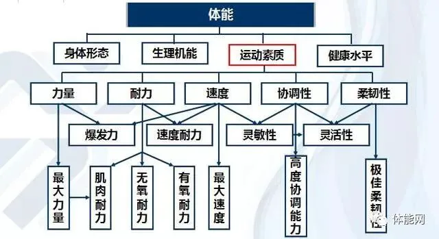 业余爱好者如何系统地学习篮球技能_1