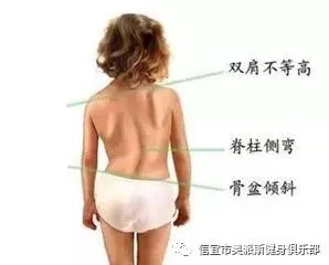 如何通过数据分析优化篮板训练效果?_1
