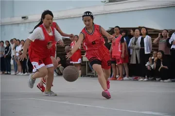 篮球训练心得体会200字左右作文_2