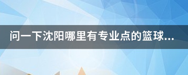 沈阳威肯篮球训练